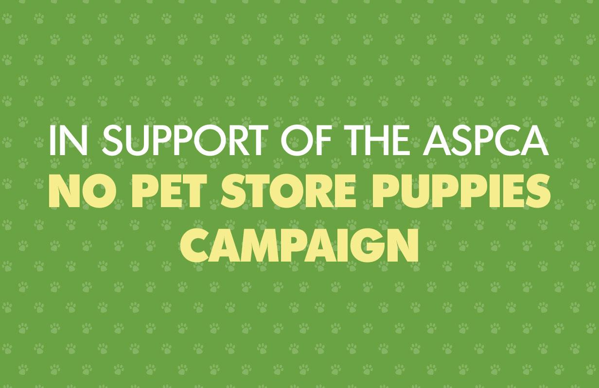 Why you should avoid buying pet store puppies