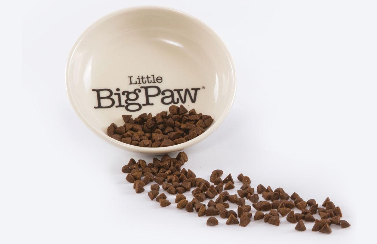 Why smaller kibble might be the right choice for your cat