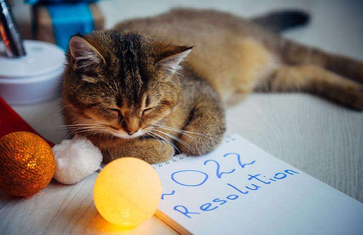 NEW YEAR, NEW PROMISES! 2022 Resolutions For Pet Parents