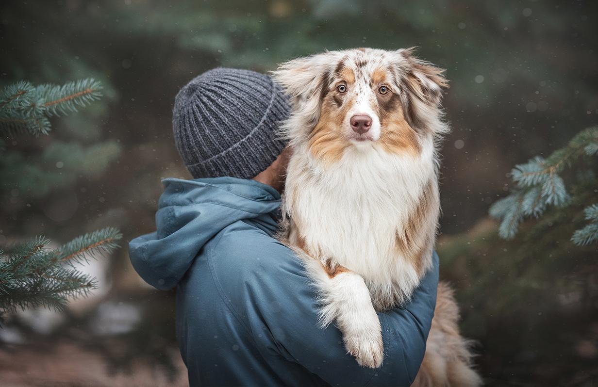 Winter Woes: Protecting Your Pooch from Cold-Weather Paws