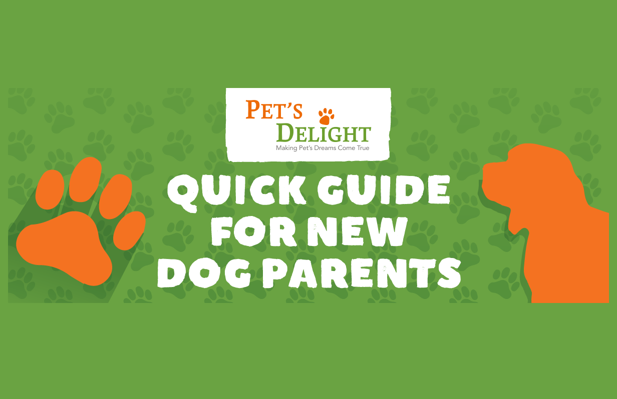 Quick Guide for New Dog Parents