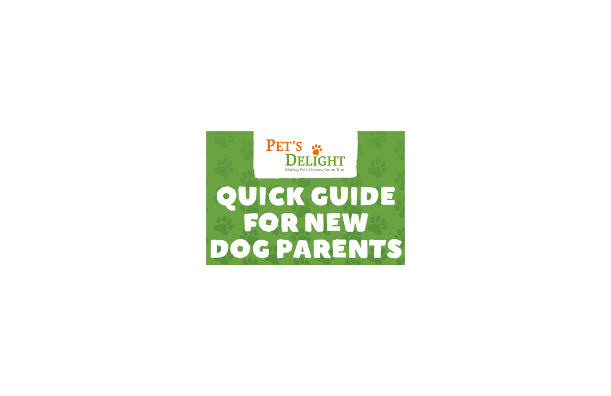 Quick Guide for New Dog Parents