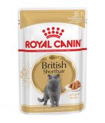 Royal Canin British Shorthair Adult Wet Cat Food 85g Pouch
