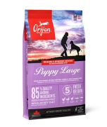 Orijen Puppy Large Dry Dog Food