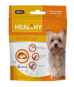 Healthy Treats Skin & Coat for Dogs & Puppies 70g