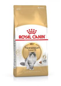 Royal Canin Norwegian Cat
