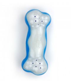 All for Paws Chill Out Ice Bone Dog Toy