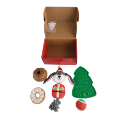 All For Paws Christmas Gift Set Dog Toy