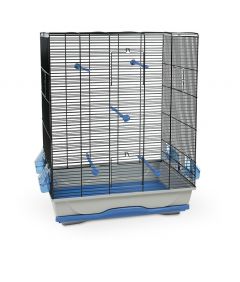 MPS2 Ambra Bird Cage 
