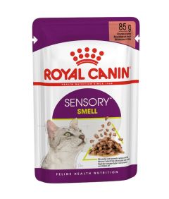 Royal Canin Sensory Smell Gravy Wet Cat Food 85g