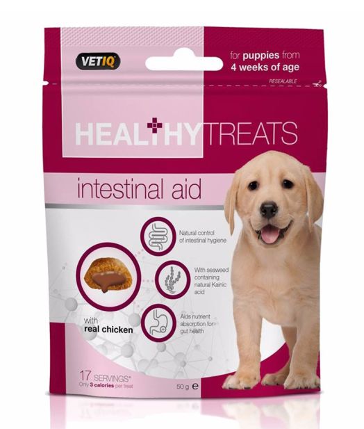 Healthy Treats Intestinal Aid for Puppies